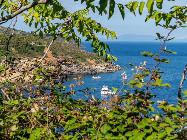  italia | immagini | mare | cielo | sereno | porto azzurro |  isola | isola d'elba | 