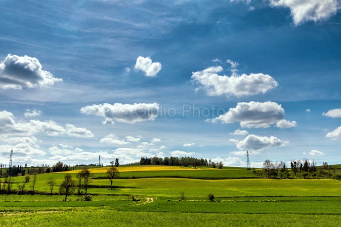 pianure del piemonte | colli piemonte | fotografie monferrato | immagini monferrato | casale | 