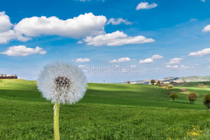 pianure del piemonte | colli piemonte | fotografie monferrato | immagini monferrato | casale | 