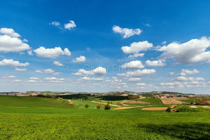 pianure del piemonte | colli piemonte | fotografie monferrato | immagini monferrato | 