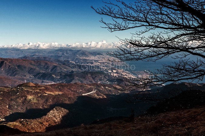 immagini meravigliose | immagini della natura | genova immagini città | liguria | foto liguria | 