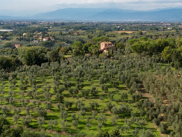 toscana | immagini | foto | colline | italia | montecatini | 