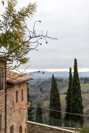 immagini paesaggi collinari toscana | immagini toscana | immagini toscana natura | 