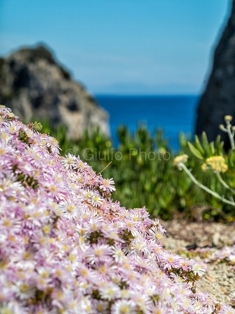 capri immagini bellissime | immagini isola di capri | faraglioni di capri immagini | vedute capri | 